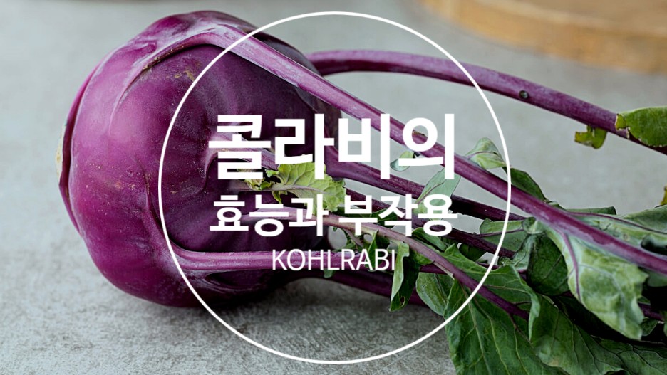  콜라비 효능과 부작용