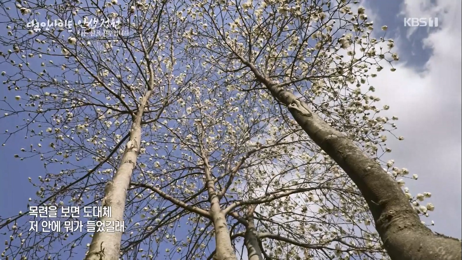 다큐 인사이트.E153.230608p.H264-F1RST.mp4_20230612_204136.042.jpg