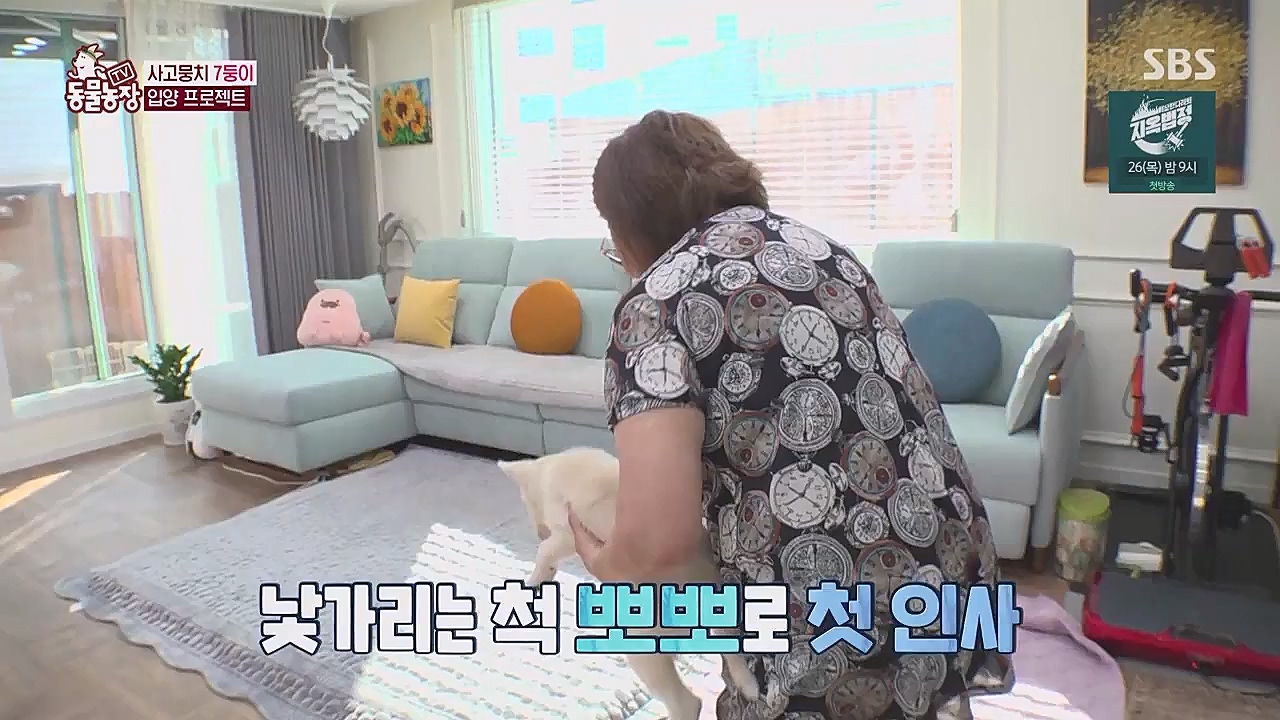 TV 동물농장.E1104.230123p.WANNA.mp4_20230123_195423.429.jpg