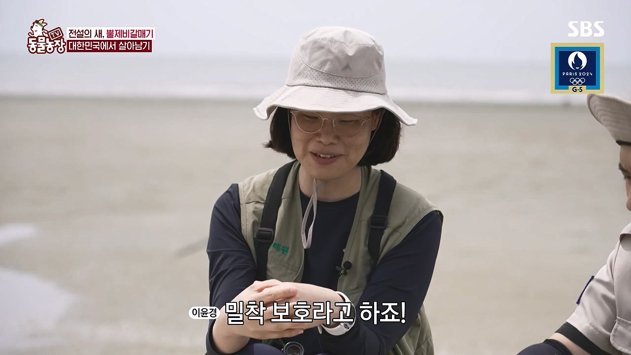 TV 동물농장.E1181.240722p-NEXT.mp4_20240721_165558.550.jpg