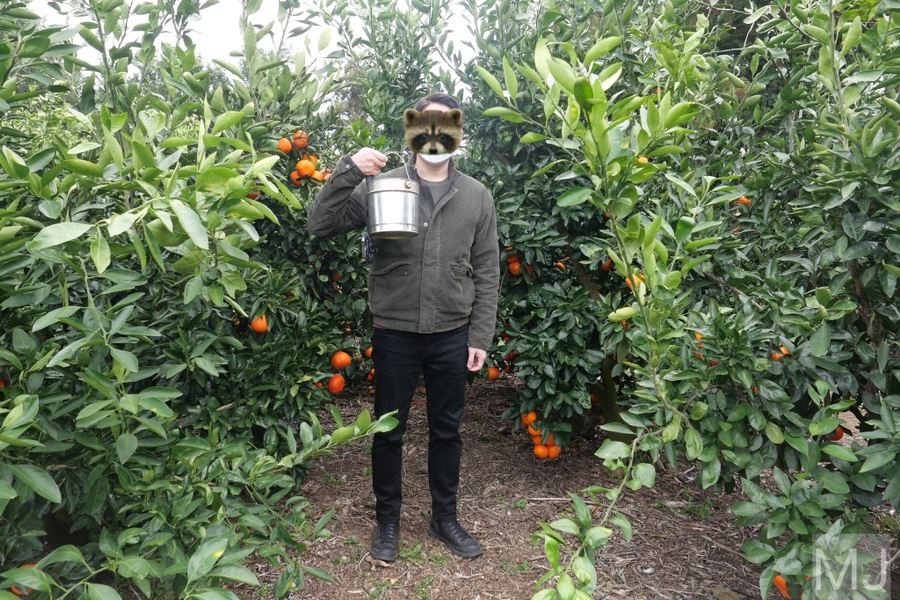 어린왕자 체험 in 감귤밭 카페 49