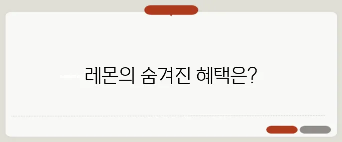 레몬 효능 정보 시간 절약 꿀팁