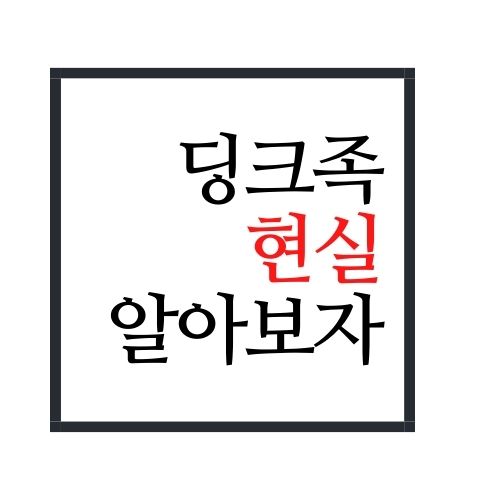  딩크족 현실에 대해서 알아보자(안보면 손해임)