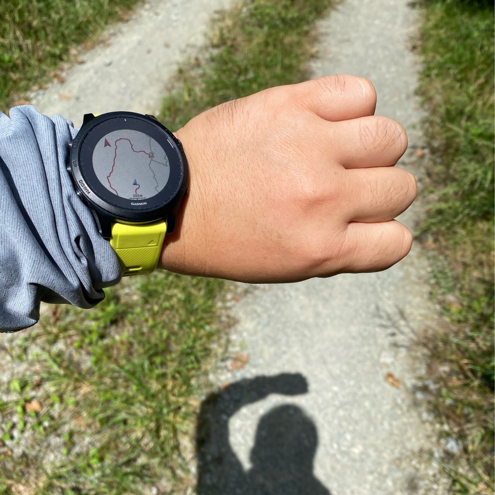 홍길동이 다녀간 19