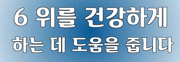  6 위를 건강하게 하는 데 도움을 줍니다