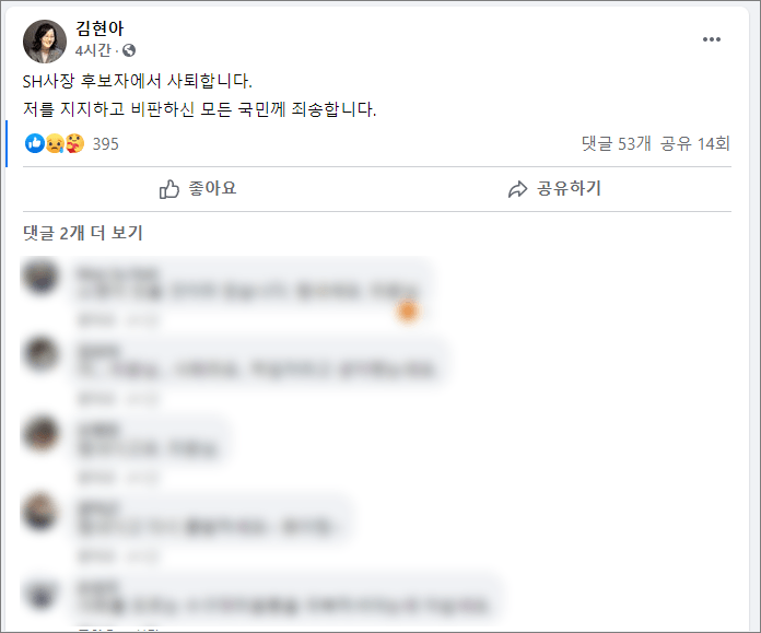 김현아 페이스북 사퇴 발표