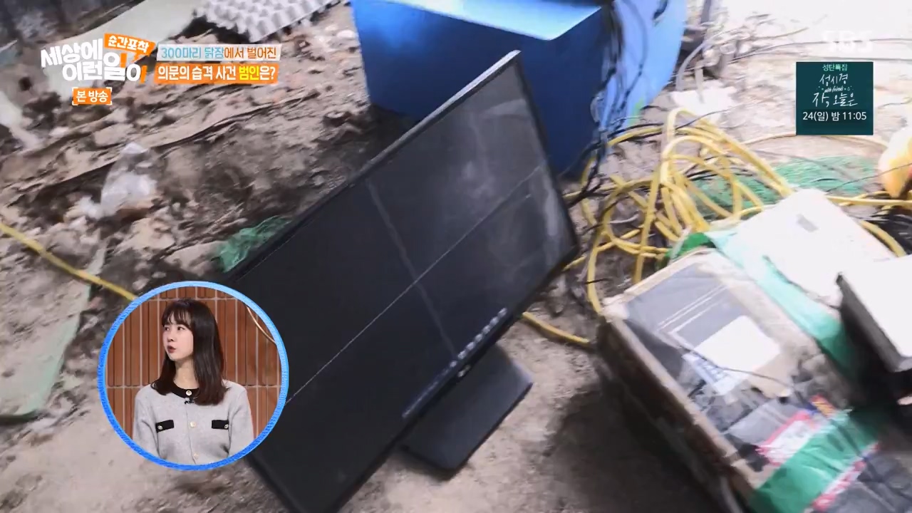 순간포착 세상에 이런일이.E1257.231224p-NEXT.mp4_20231224_180235.523.jpg