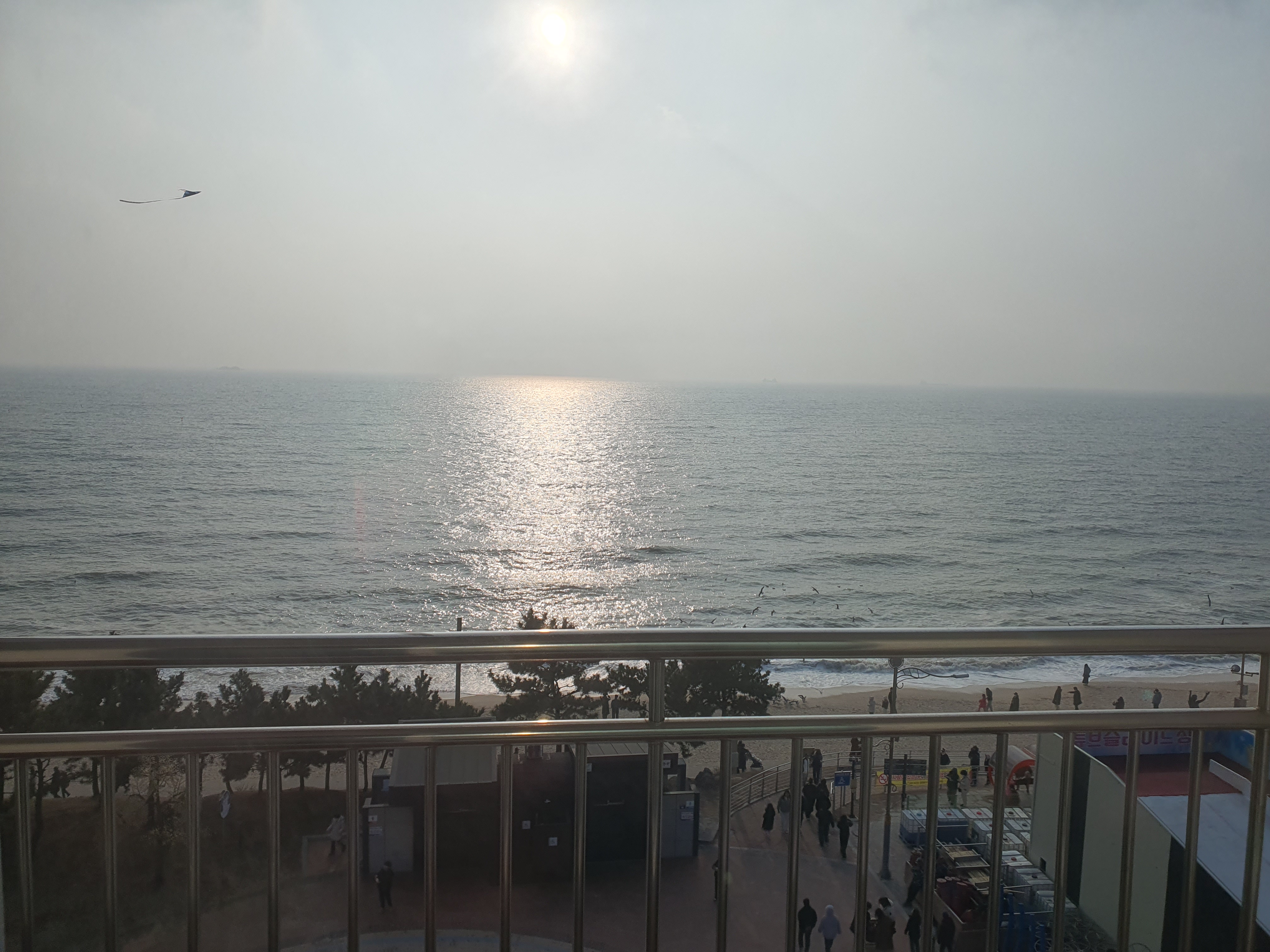 대천 머드비치 호텔