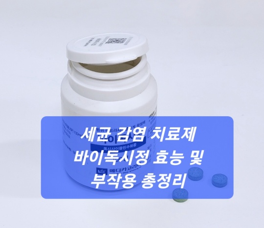 바이독시정