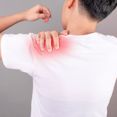 어깨회전근개 파열 증상 염증 예방법