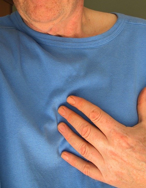 돌외잎 효능#5. 심혈관 질환 예방
