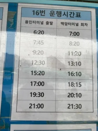 용인 백암터미널 시간표 요금 예매_8
