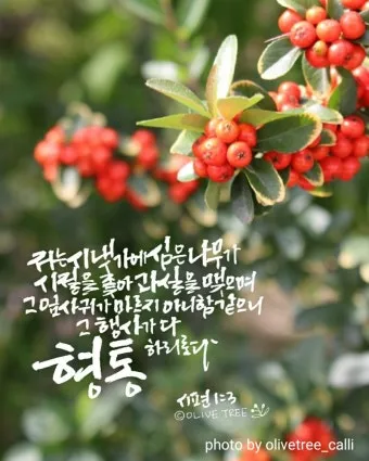 시편 1편 제일권 묵상 강해_22