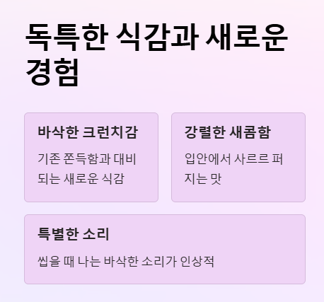 동결건조 사우어벨트