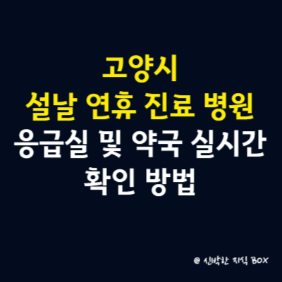 고양시 설날 연휴 공휴일 진료 병원 안내, 응급실 및 약국 실시간 확인 방법