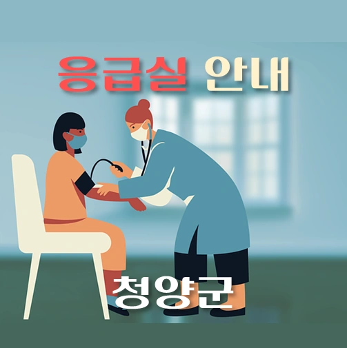 썸네일-청양군-응급실-운영-병원-안내