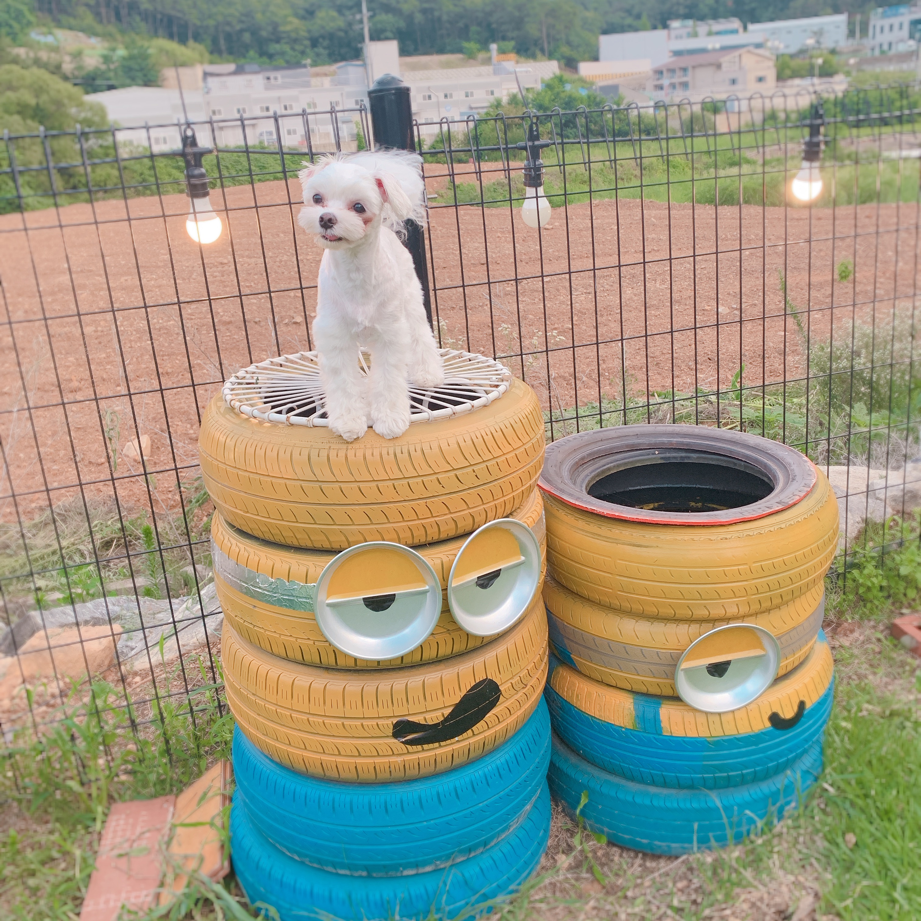 독신남 이미지