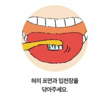 양치하는 방법