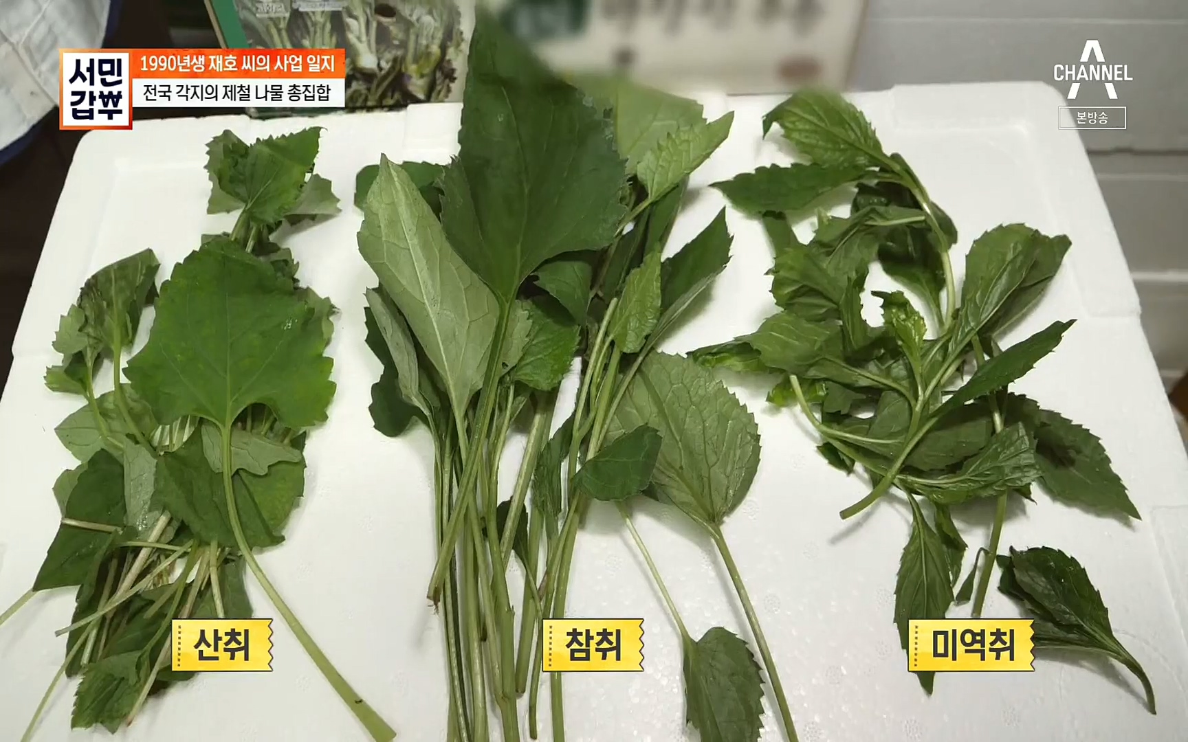 서민갑부.E385.220528p.H264-F1RST.mp4_20220529_175124.720.jpg