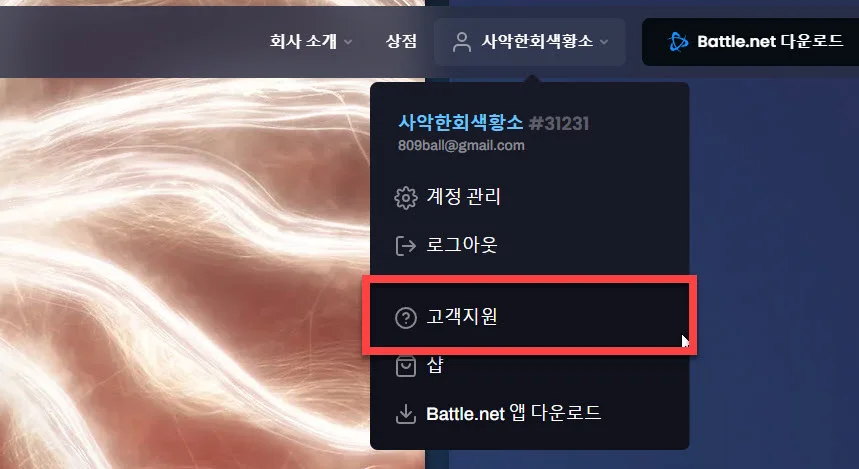 배틀넷 프로필 메뉴