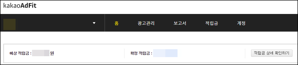  카카오애드핏 적립금 지급 요청