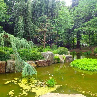 낭트의 Jardin Ile de Versailles