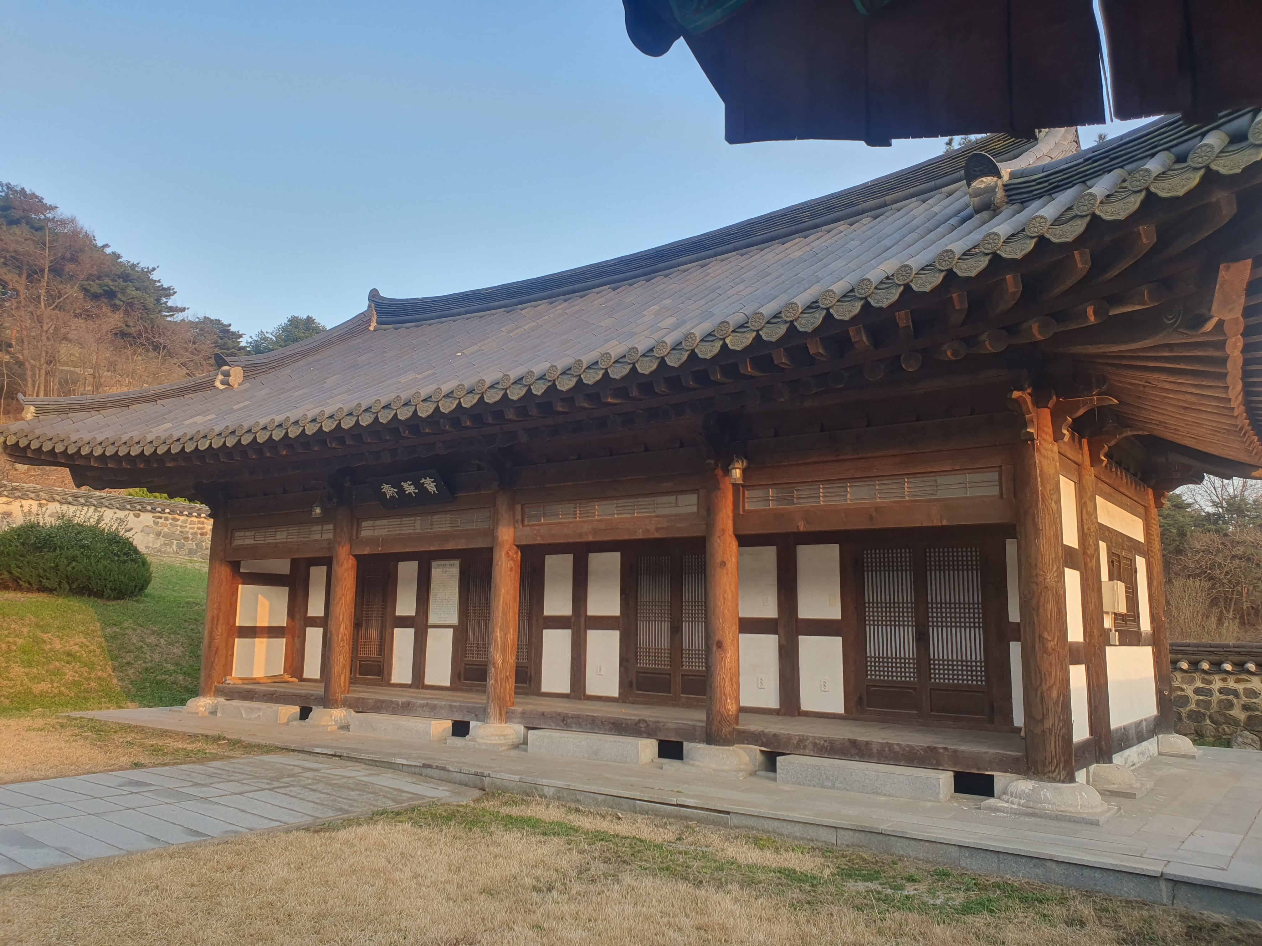 홍성 거북이 마을 봄꽃 명소