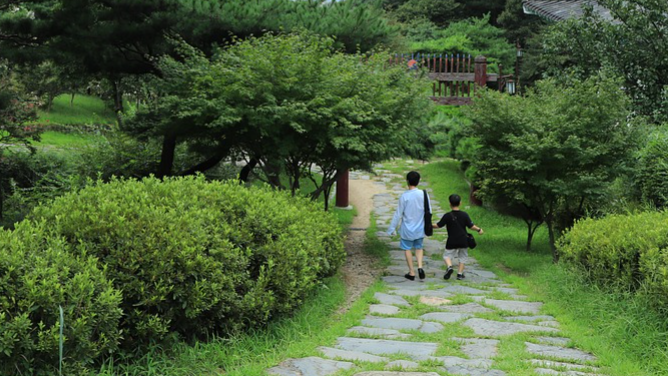 혈액형별 암 발병 확률