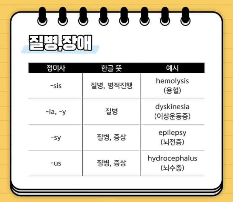  의학용어 접두사 2