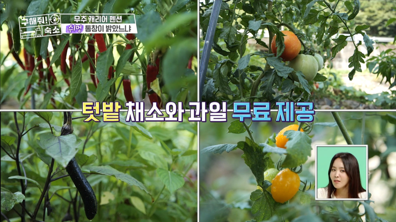 구해줘숙소 무주 여행가방펜션 05