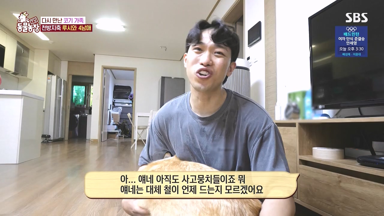 TV 동물농장.E1183.240805p-NEXT.mp4_20240804_154932.149.jpg