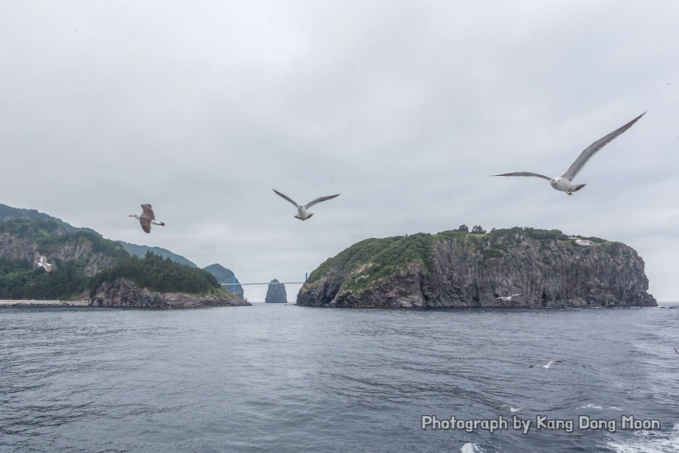 울릉도 여행 가볼만한곳 유람선 배 타기 국내 바다 추천 경북 동해안 2박3일 20