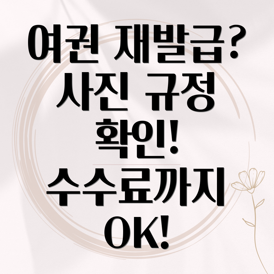 온라인 여권 재발급