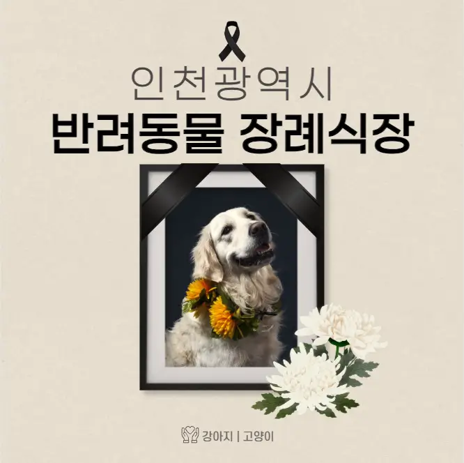  인천 반려동물 장례식장 고양이 강아지 장례 화장 업체 2곳