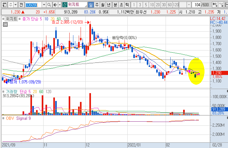 위지트-주가-흐름-차트