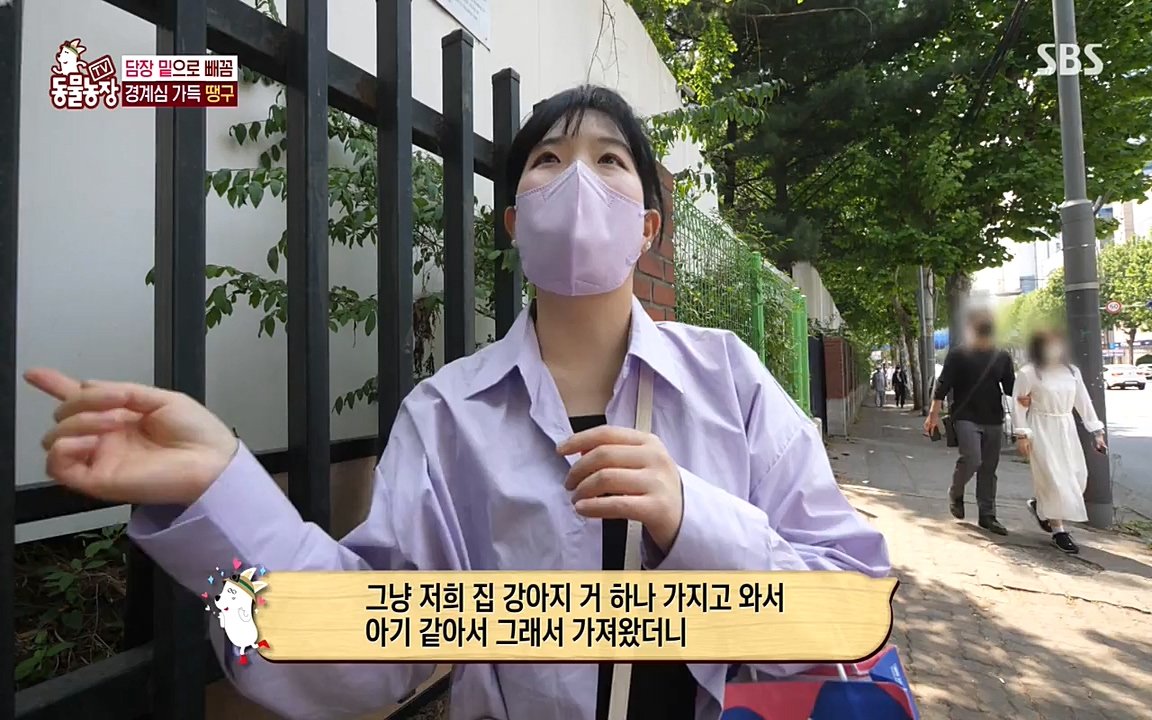 TV 동물농장.E1075.220627p-NEXT.mp4_20220626_175558.260.jpg