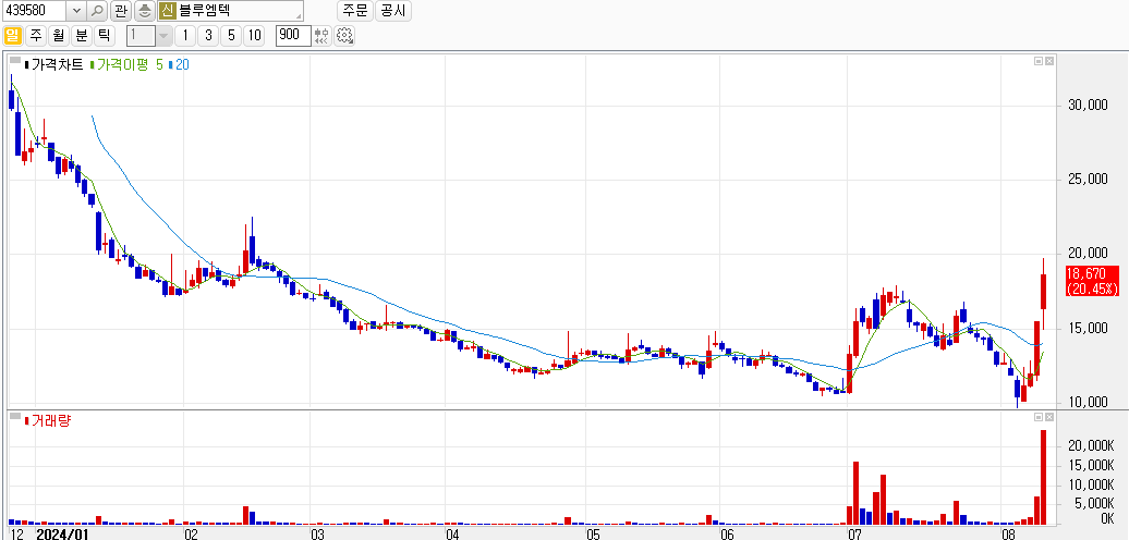 블루엠텍 2024년 주식 일봉차트