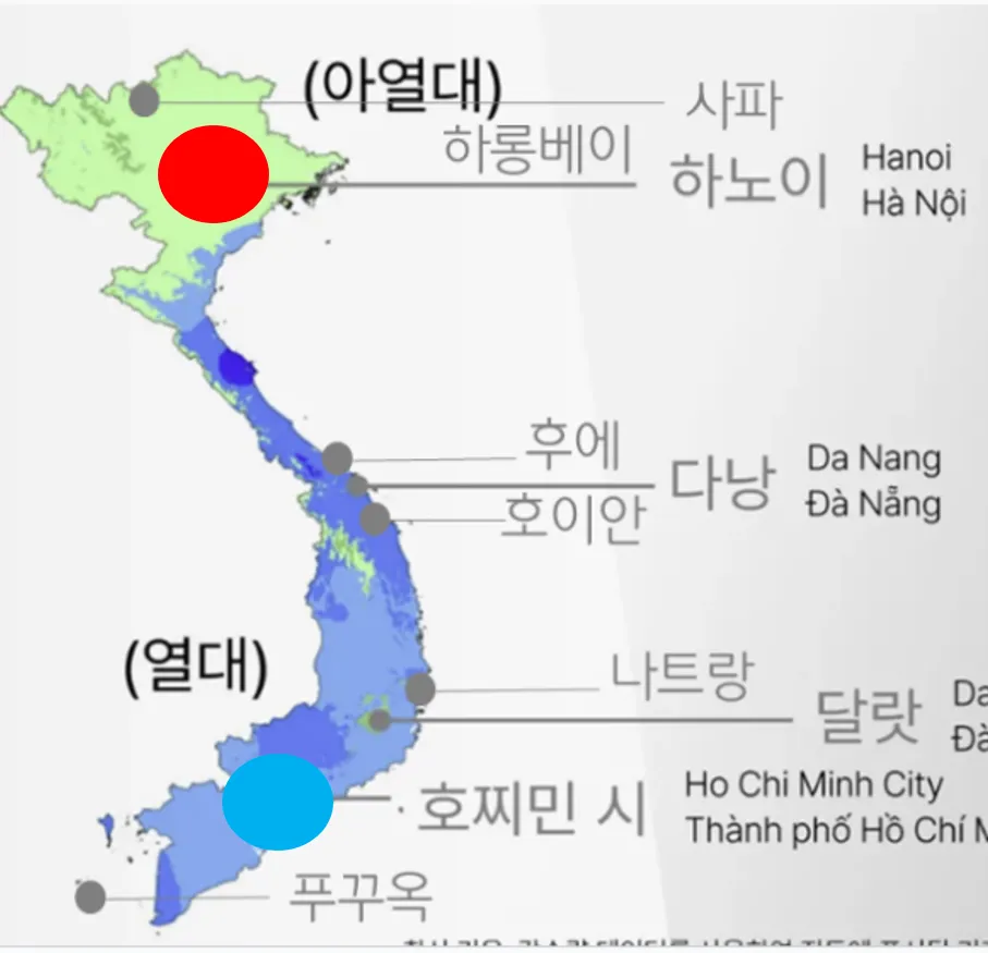 베트남 호치민 여행_14