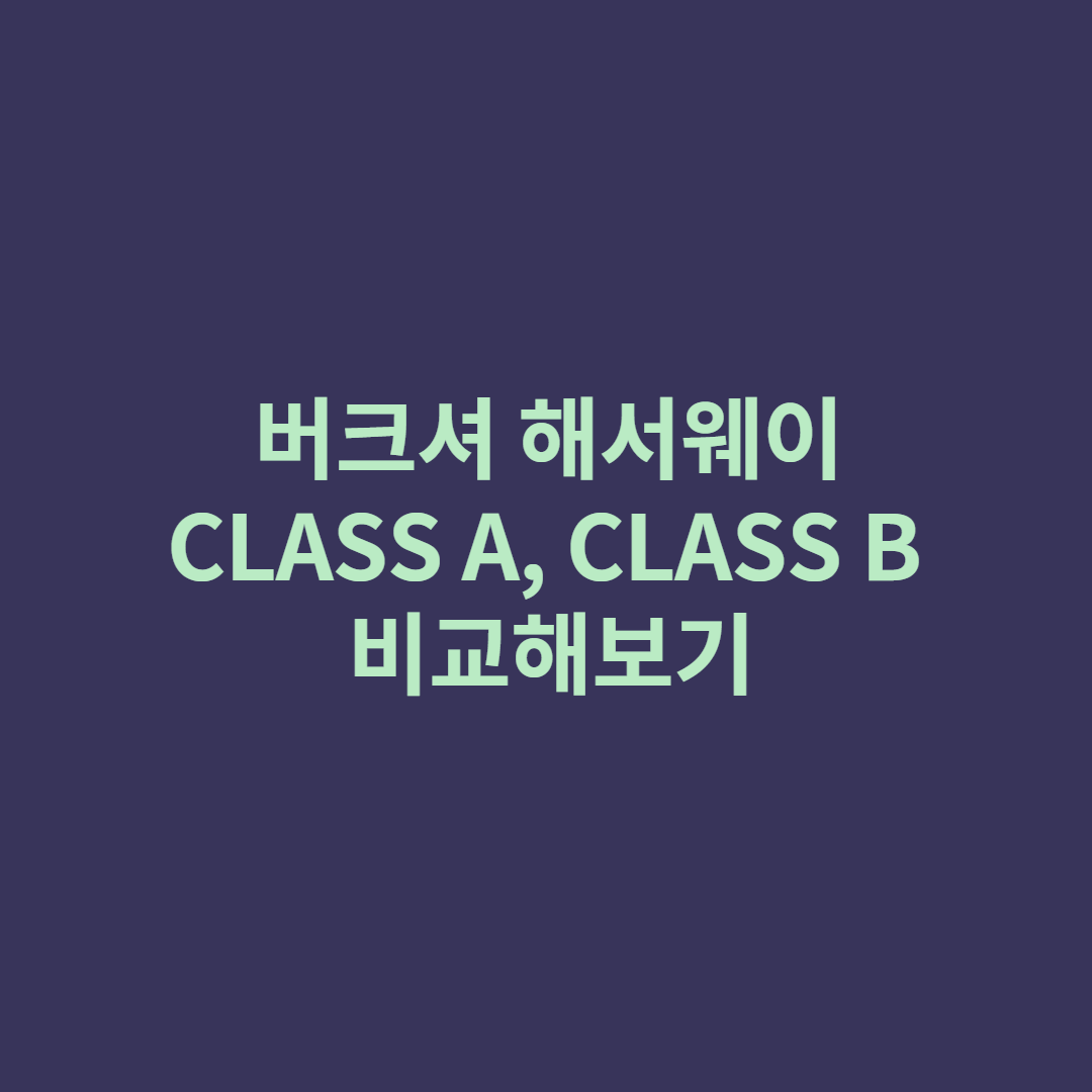  버크셔 해서웨이 CLASS A, CLASS B 비교해보기