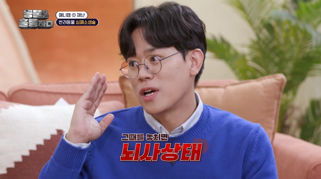 반려인들은 알아두면 좋을 만한 정보들...jpg | 인스티즈