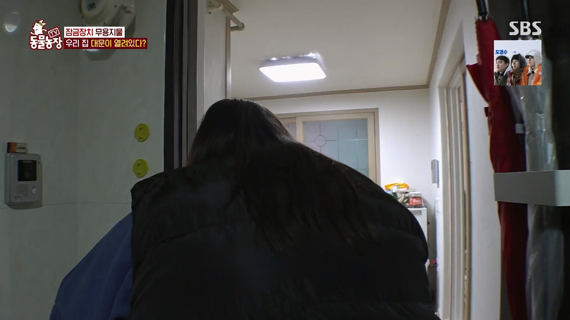 TV 동물농장.E1109.230226p.H264-F1RST.mp4_20230226_161909.775.jpg