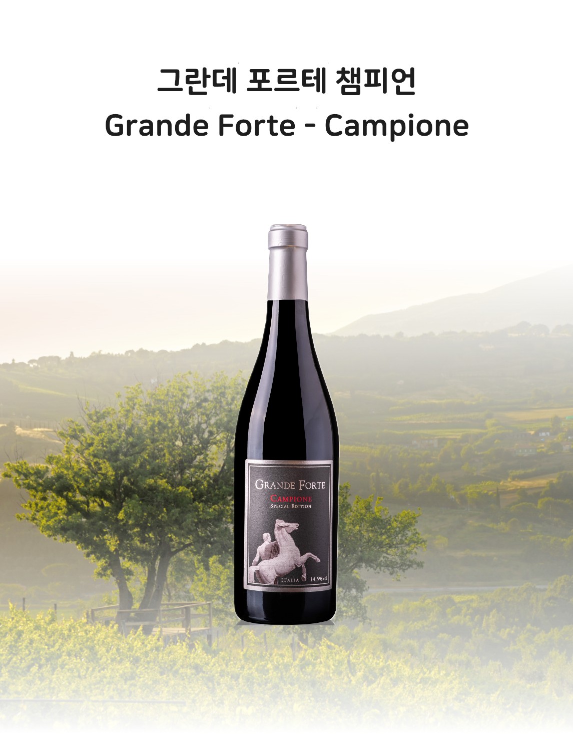 그란데포르테챔피언