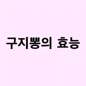 구지뽕의 효능