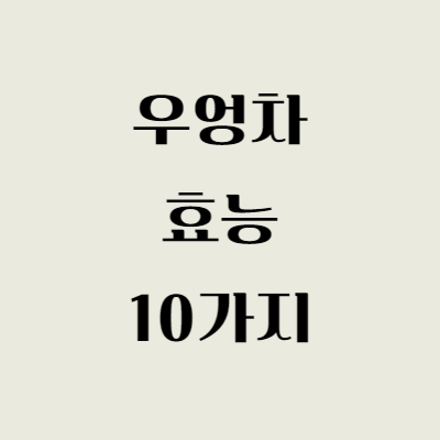 우엉차 효능 10가지 총정리