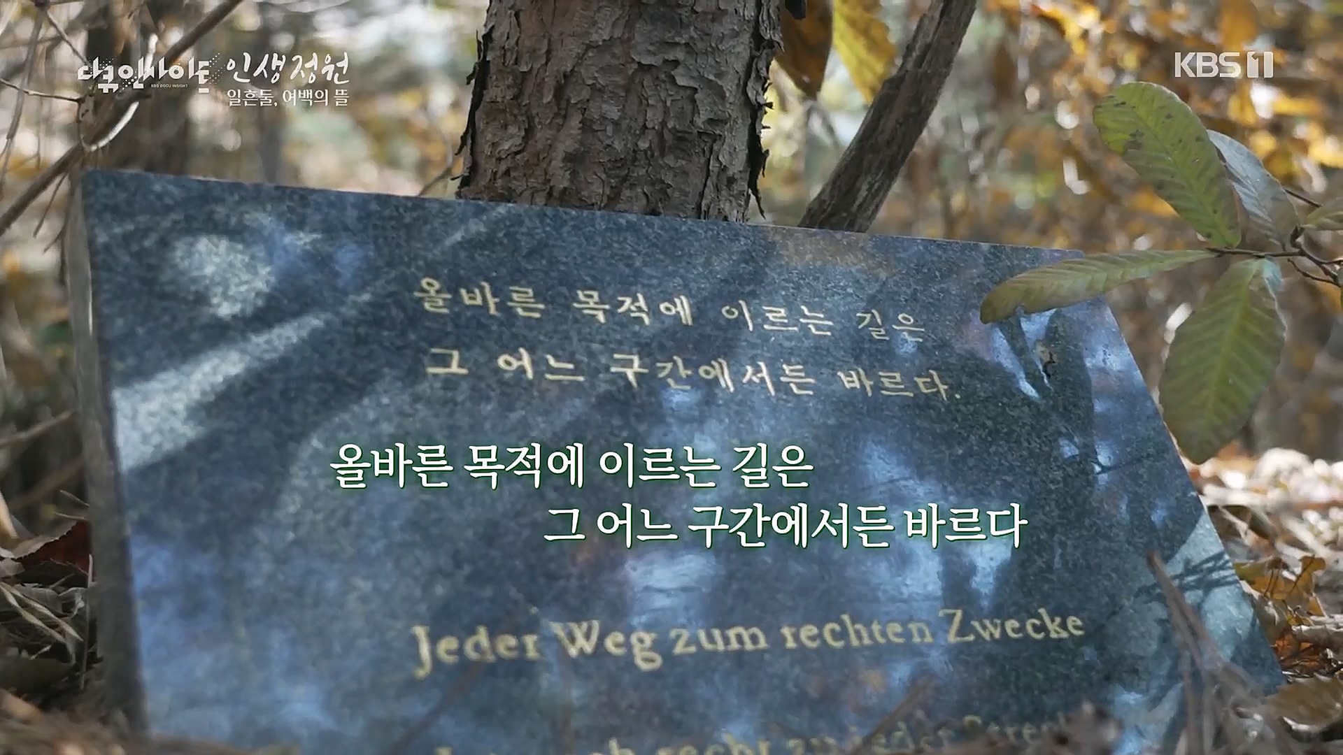 다큐 인사이트.E135.221229p.H264-F1RST.mp4_20230109_203932.931.jpg