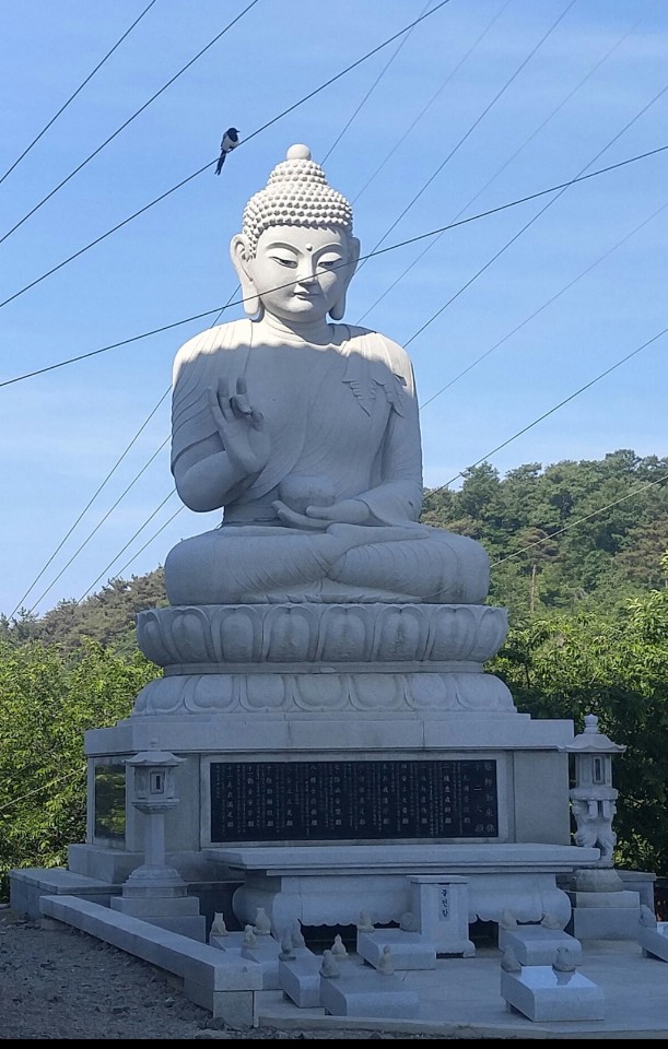 img.jpg