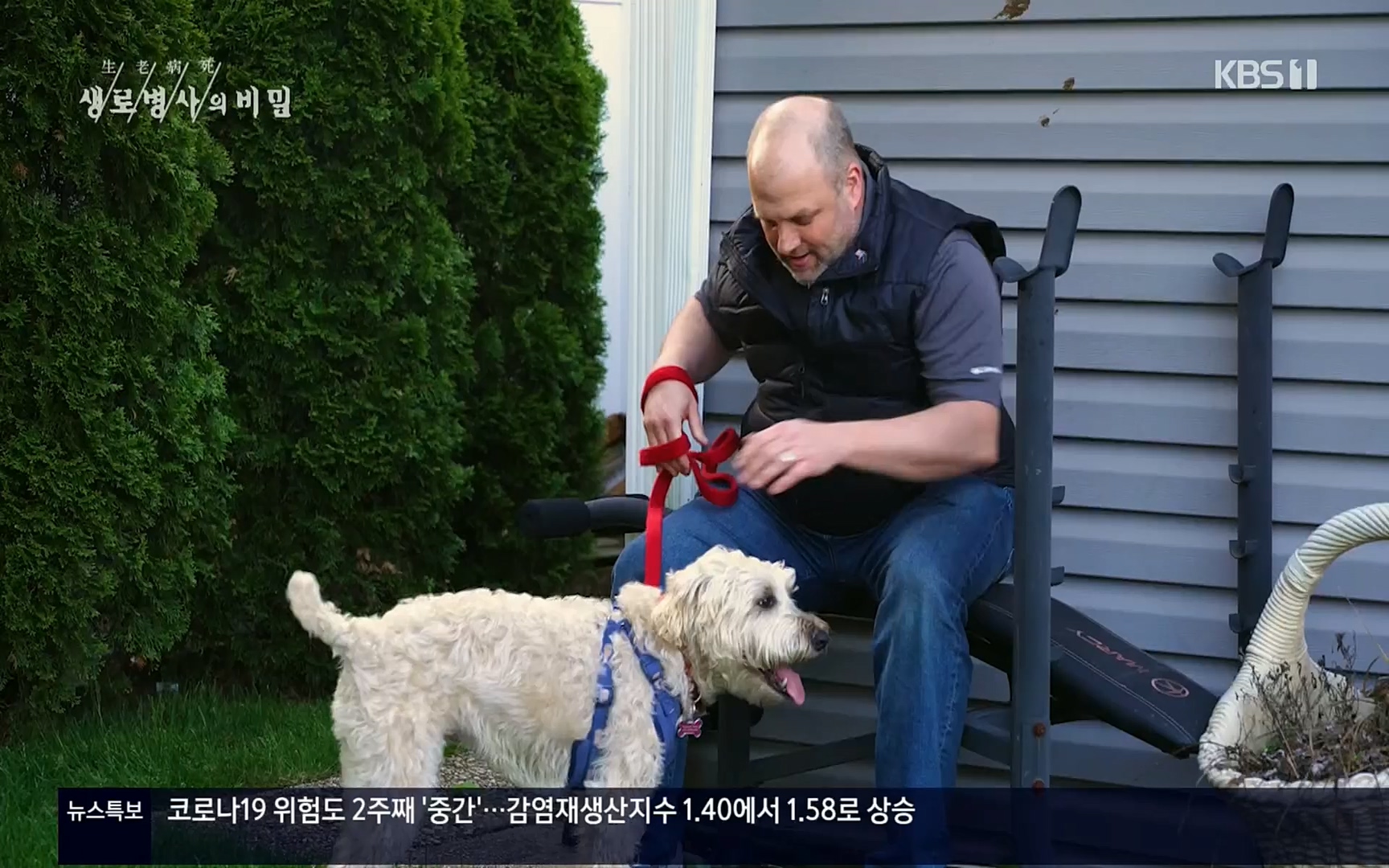 생로병사의 비밀.E827.220720p.H264-F1RST.mp4_20220721_203833.024.jpg
