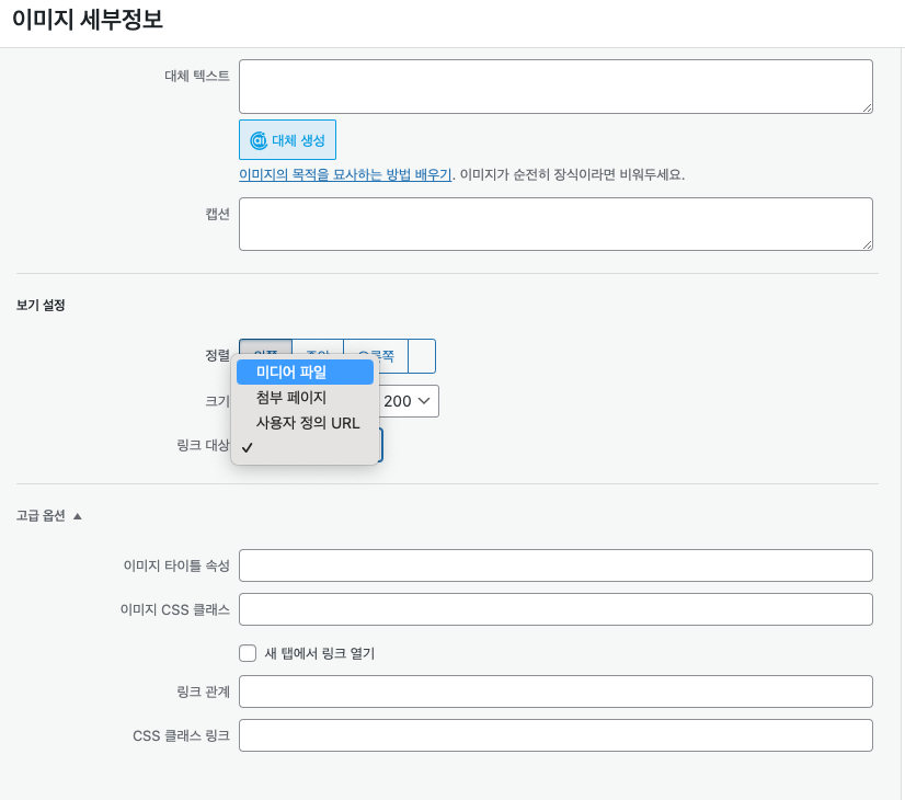 팝업 플러그인 미디어파일로 삽입