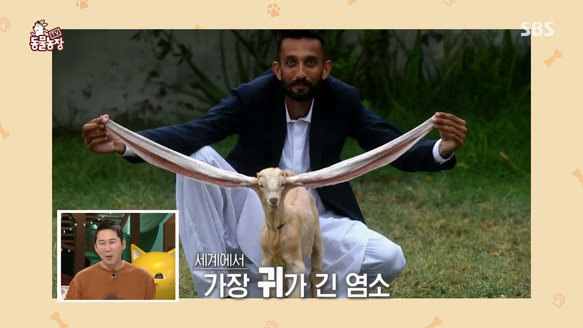TV 동물농장.E1103.230108p.H264-F1RST.mp4_20230108_174629.825.jpg