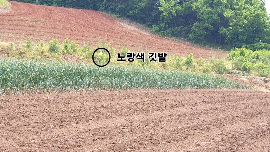 도로 확장 공사&#44; 노랑색 깃발